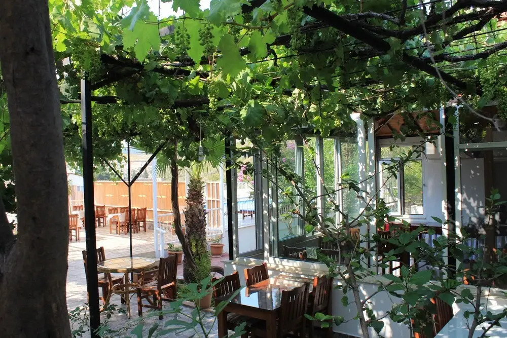 Патара: Patara Caretta Hotel