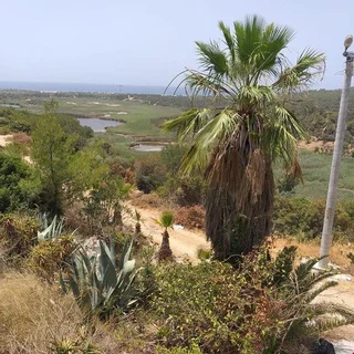 Патара: Merhaba Patara Boutique Hotel