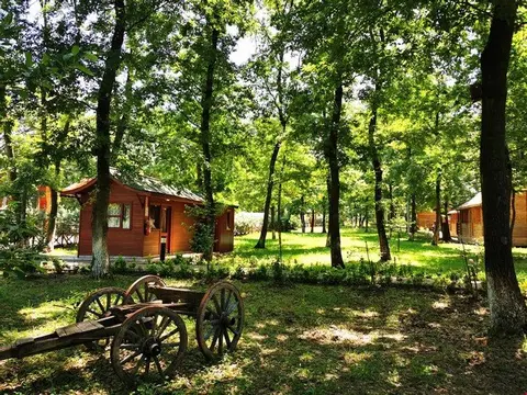 Сакарья: Sapanca Bungalov Orman Evleri