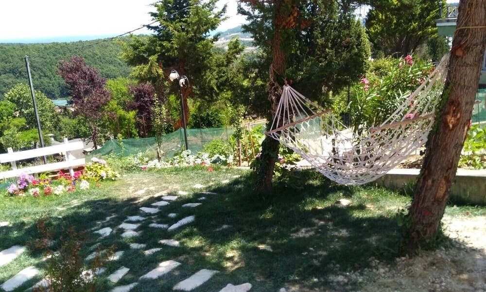 Сайл: Agva Green Blue Otel