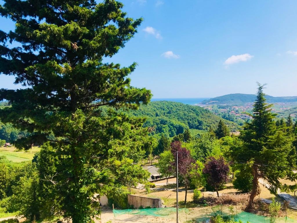 Сайл: Agva Green Blue Otel