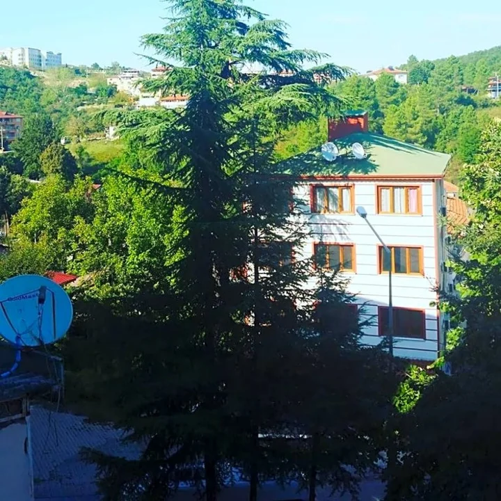 Термал: Orkide Motel