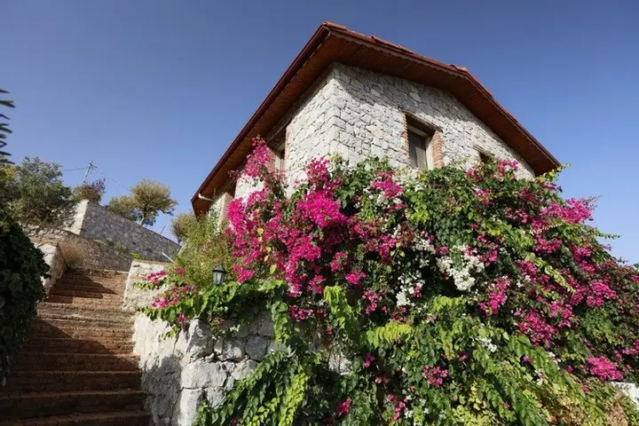Орхание: Massi  Villa