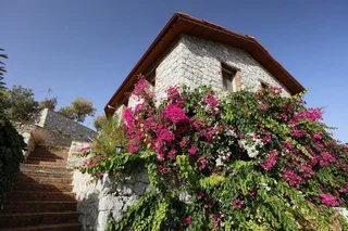 Орхание: Massi Villa