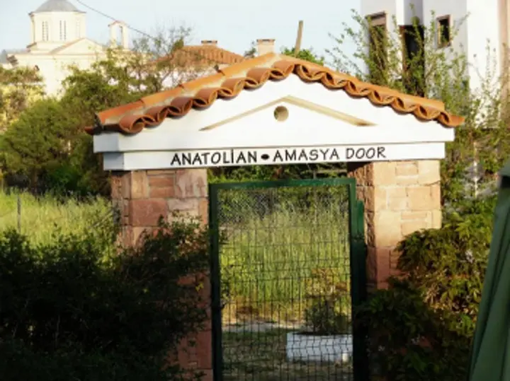 Айвалык: Cunda Alibeyhan Hotel