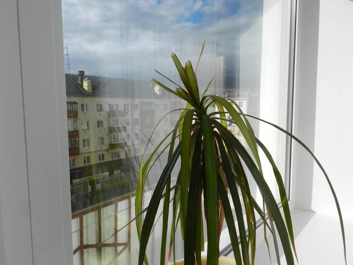 Кстово: Apartments on 40 let Oktyabrya