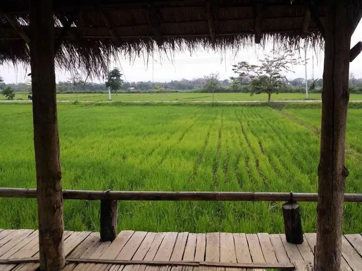 Чианграй: Baan Din Dee resort