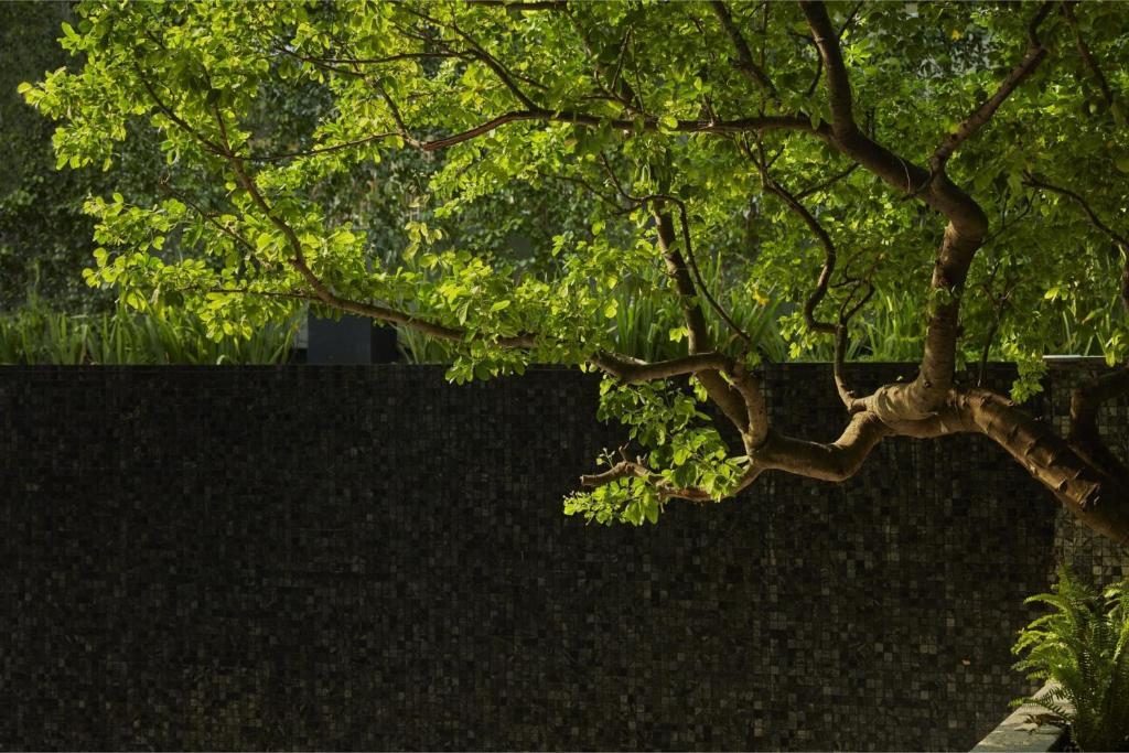 Бангкок: HOMM Sukhumvit34 Bangkok by Banyan Tree Group