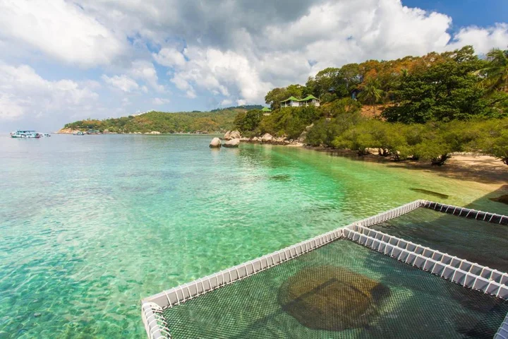 Остров Тау: Koh Tao Relax Freedom Beach Resort