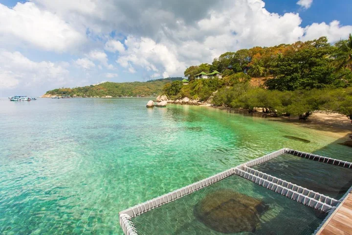Остров Тау: Koh Tao Relax Freedom Beach Resort