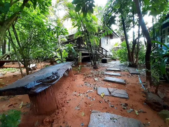 Кхлонг Кхут: Jungle Bay Resort