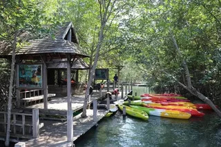 Кхлонг Кхут: Jungle Bay Resort