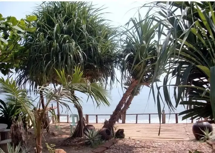 Кхлонг Кхут: Jungle Bay Resort