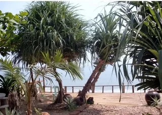 Кхлонг Кхут: Jungle Bay Resort
