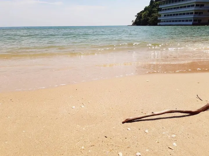 Кхлонг Кхут: Jungle Bay Resort