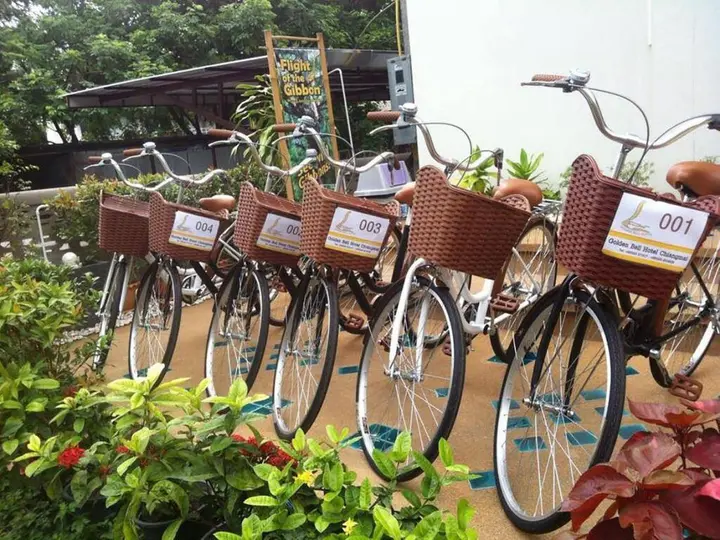 Чиангмай: Goldenbell Hotel Chiangmai