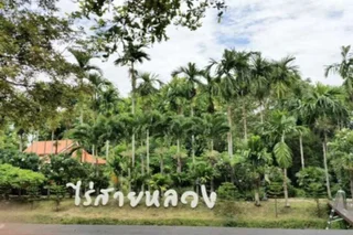 Варин-Чамрап: Raisailuang Resort