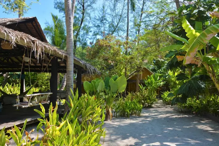 Forra Diving Resort - Sunrise Beach - Koh Lipe — фото 3