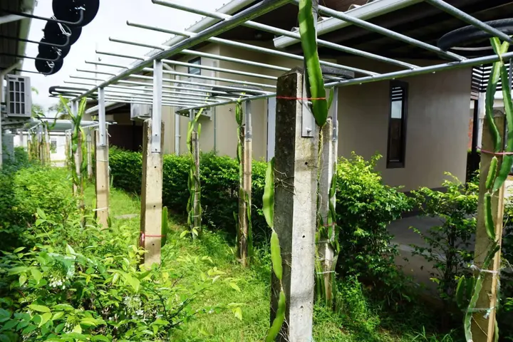 Лансака: Phumipat Resort Thungsong