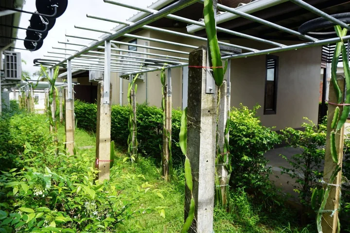Лансака: Phumipat Resort Thungsong