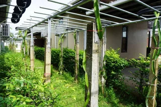 Лансака: Phumipat Resort Thungsong