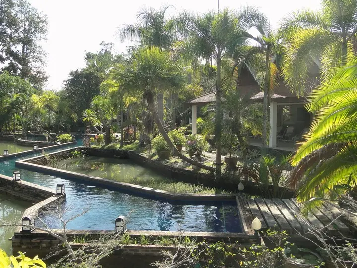Дой-Сакет: Ban Nong Resort