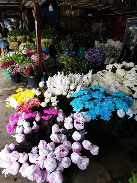 Чиангмай: zZz Crest Chiang Mai