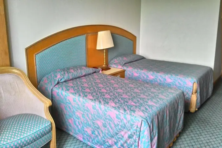 Сураттхани: Siam Thani Hotel