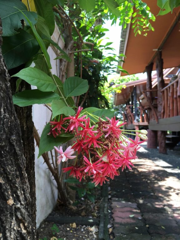 Нанг-Ронг: Baan Tubtim Resort