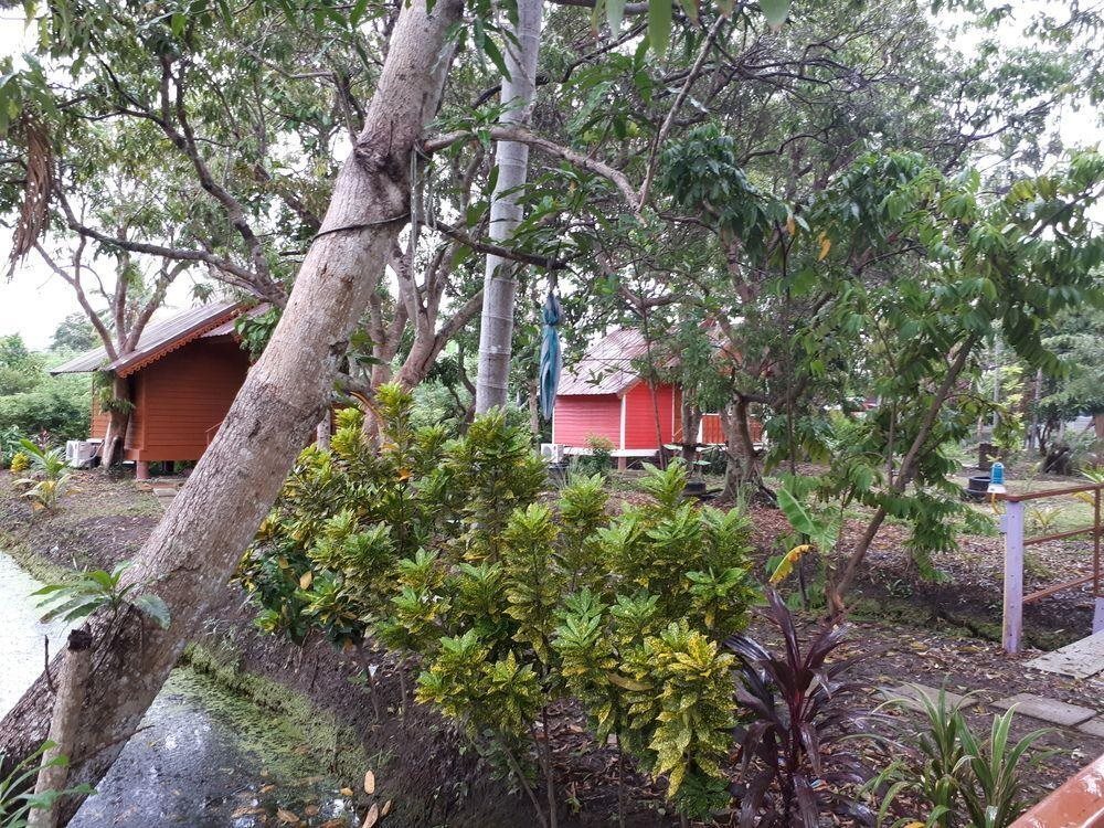 Chokesombat resort — фото 4