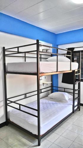 Чиангмай: Bodega Chiang Mai Party Hostel - Adults Only