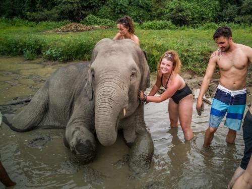 Чиангмай: Bodega Chiang Mai Party Hostel - Adults Only