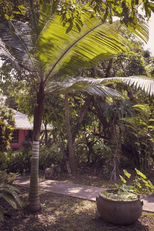 Чиангмай: Ruang Tawan Hideaway