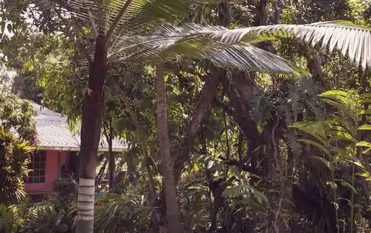 Чиангмай: Ruang Tawan Hideaway
