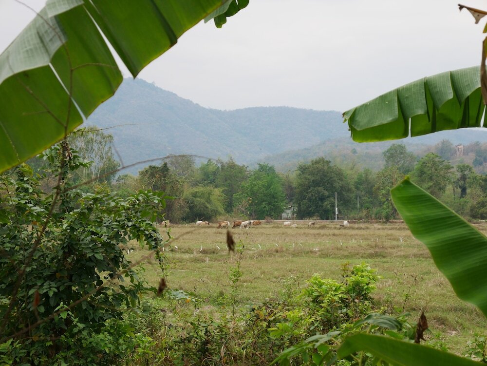 Сукотай: Doi Fah Homestay