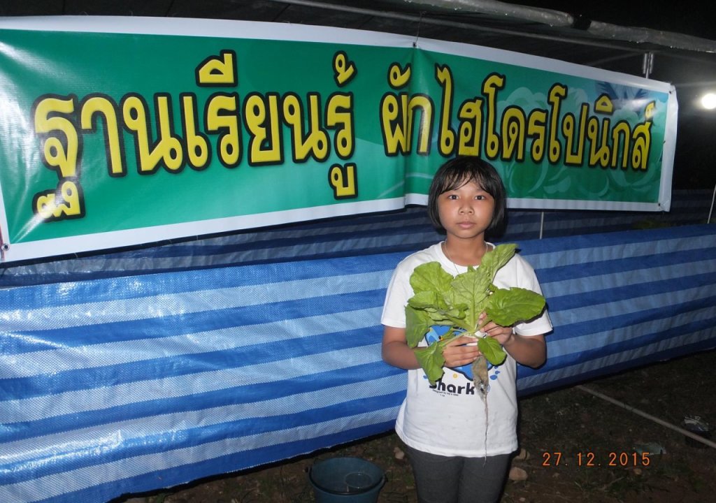 Чумпхон: Go Green Resort