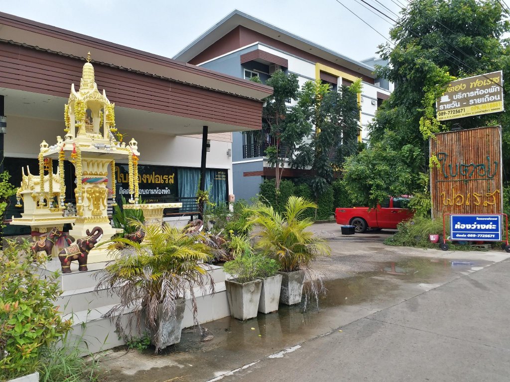 Baitong Forest — фото 3