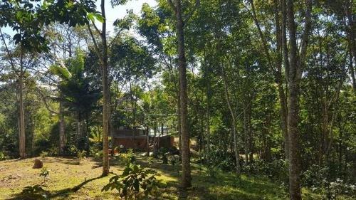 Мае-Таенг: Eco-Park Papae