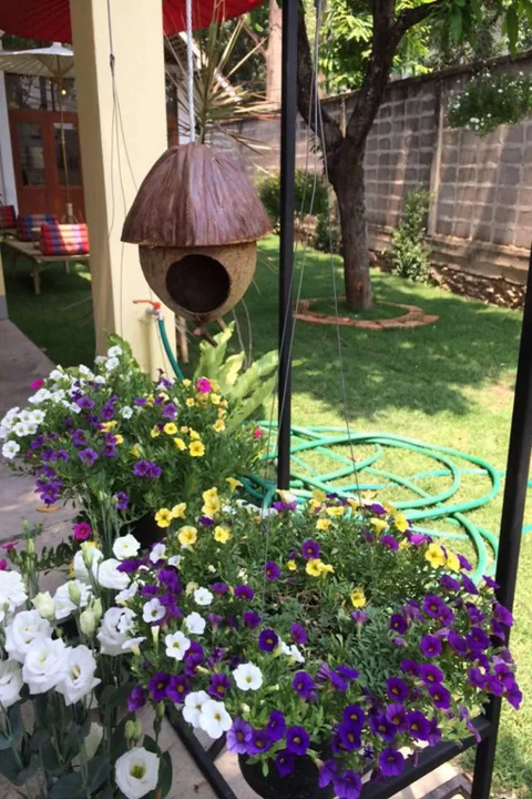 Чиангмай: Planter's Hostel