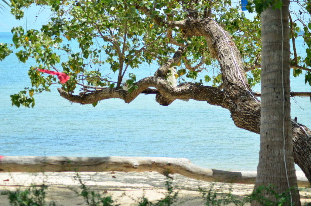 Самуи: Think & Retro Cafe Lipa Noi Samui