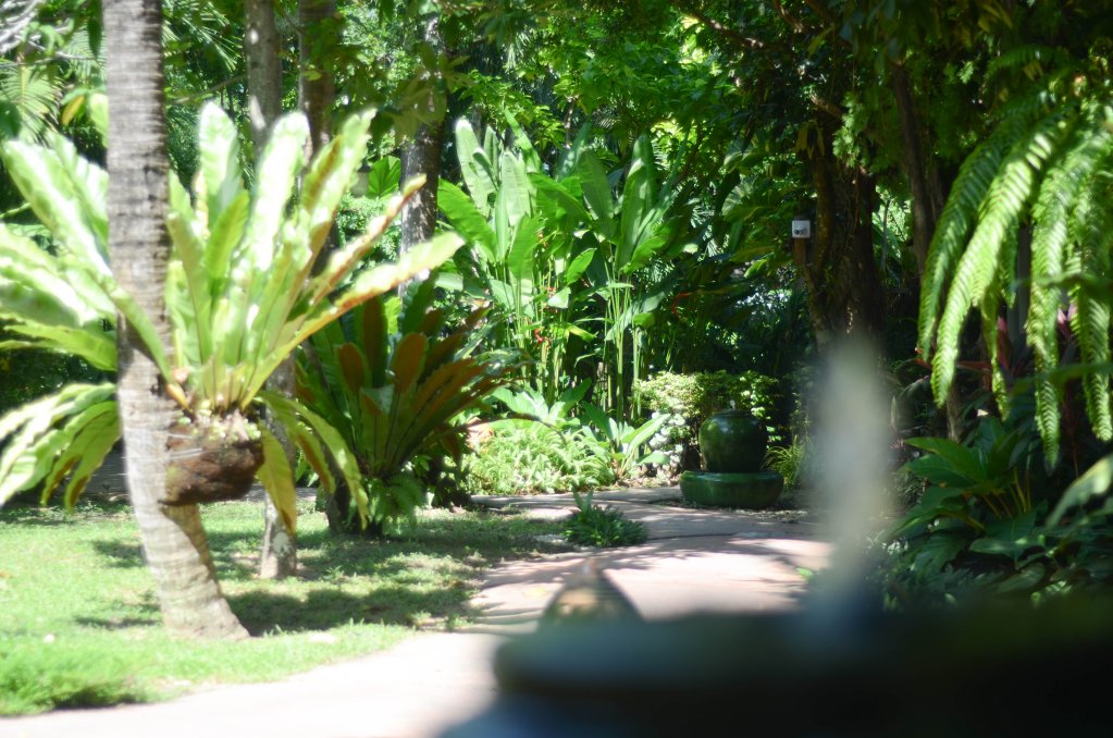 Самуи: Samui Sense Beach Resort