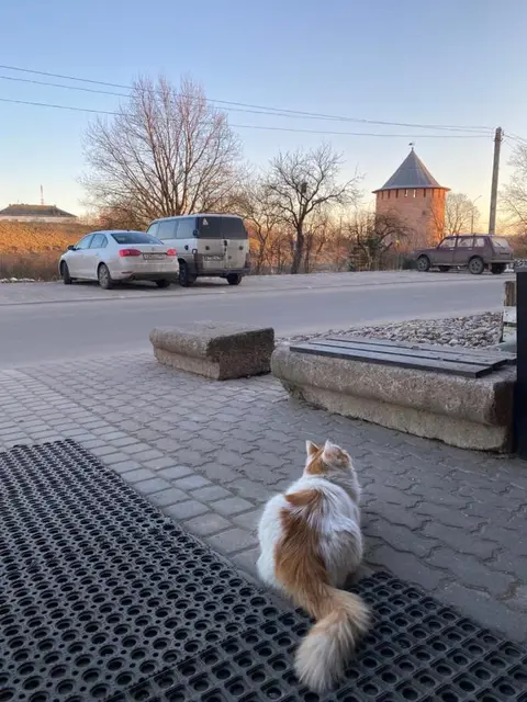 Великий Новгород: Гостевой дом Три Кота