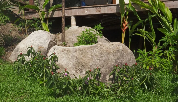 Сураттхани: Ecotao lodge