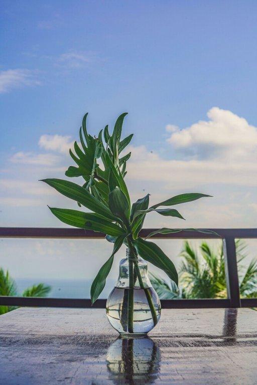 Сураттхани: Ecotao lodge
