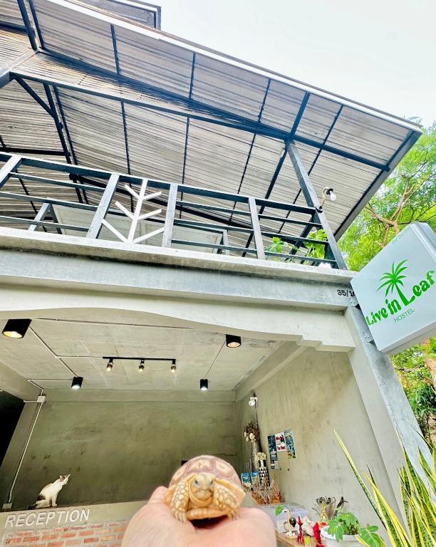 Остров Тау: Live In Leaf KohTao - Hostel