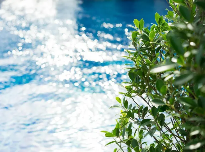 Чаам: Vann Hua Hin Resort