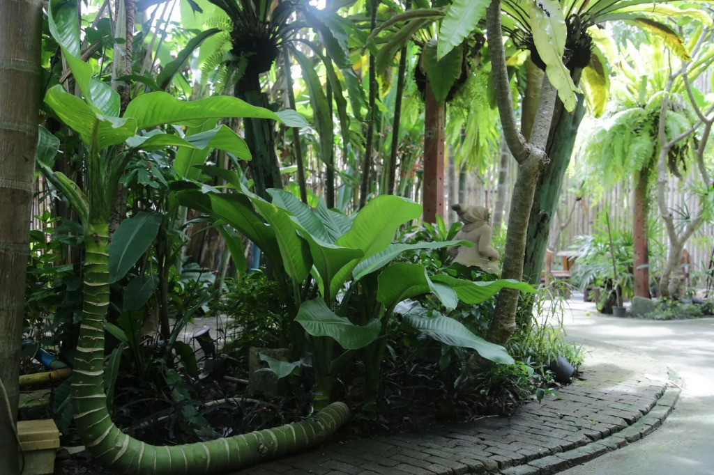Пхи-Пхи-Дон: Freedom Hostel at Phi Phi by OYO Rooms
