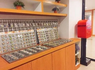 Бангкок: Patra Boutique Hotel