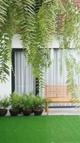 Чиангмай: Bossotel Chiang Mai
