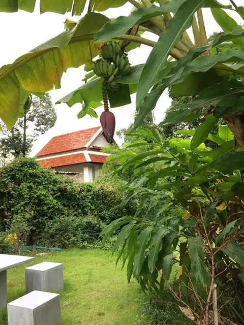 Накхонситхаммарат: Montra-Nakhon Guest House